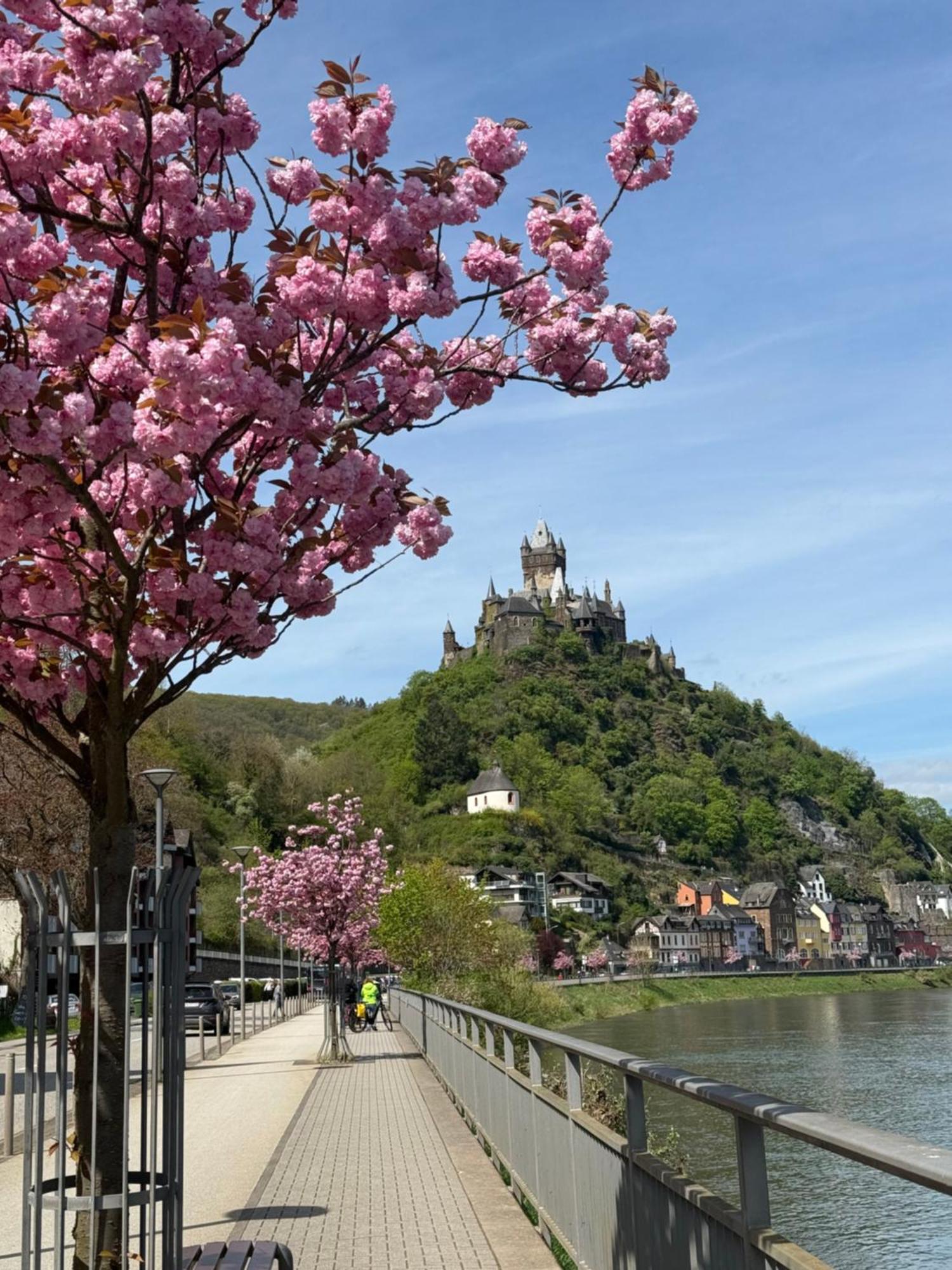 Haus Rubi Lägenhet Cochem Exteriör bild